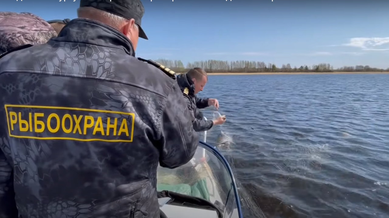 Сотрудники рыбохраны проверяют соблюдение запрета на ловлю сетями