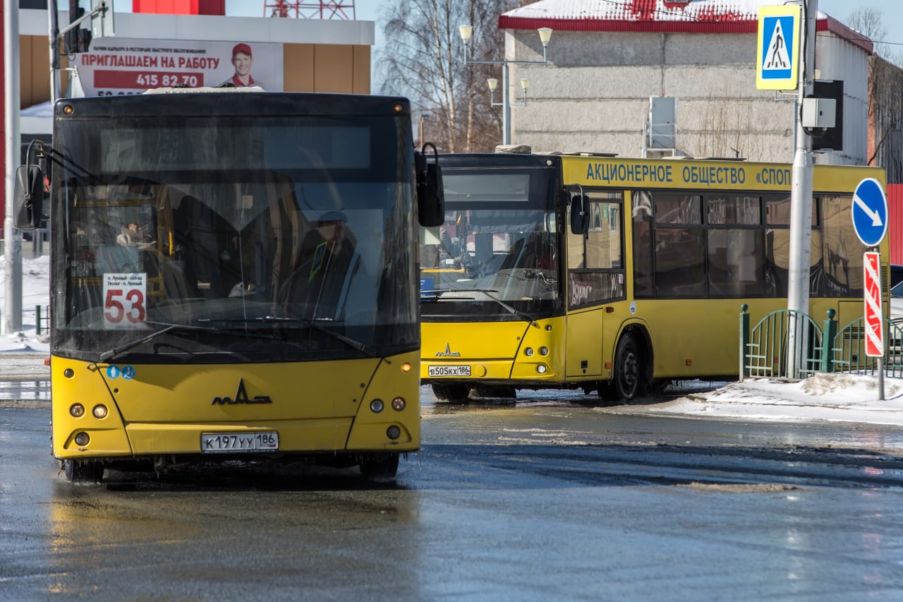 Администрация Сургута планирует запустить новую маршрутную сеть, несмотря  на массовое недовольство горожан