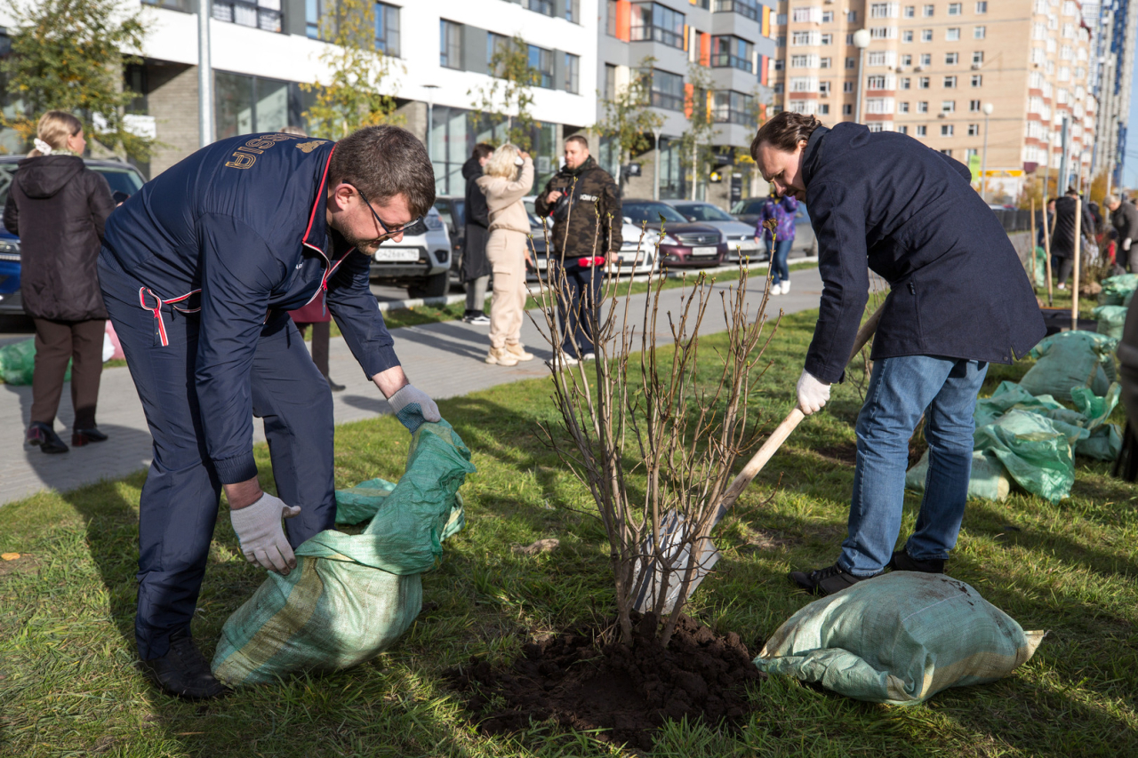 Ребенок пошел в сад и постоянно болеет. Что делать и является ли это проблемой?